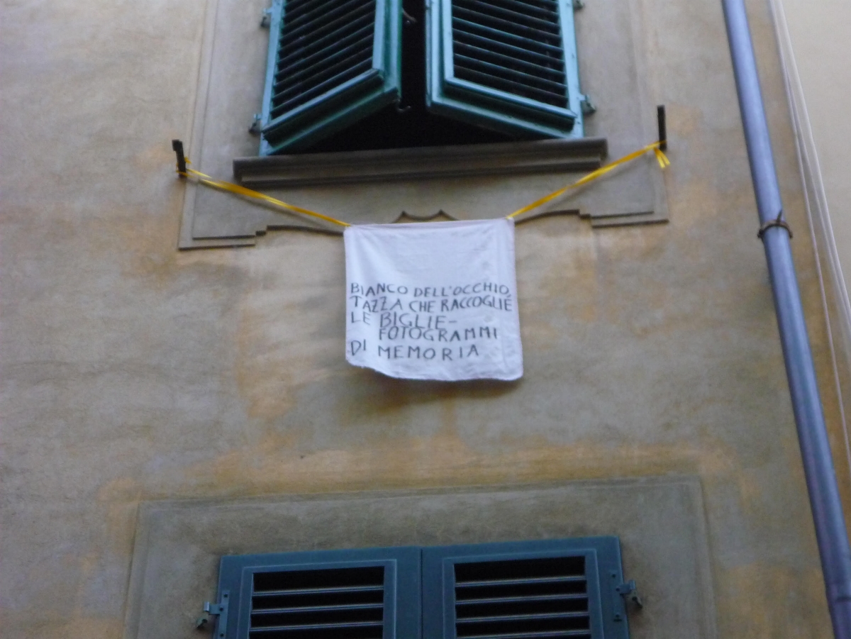 The Plant of Dreaming